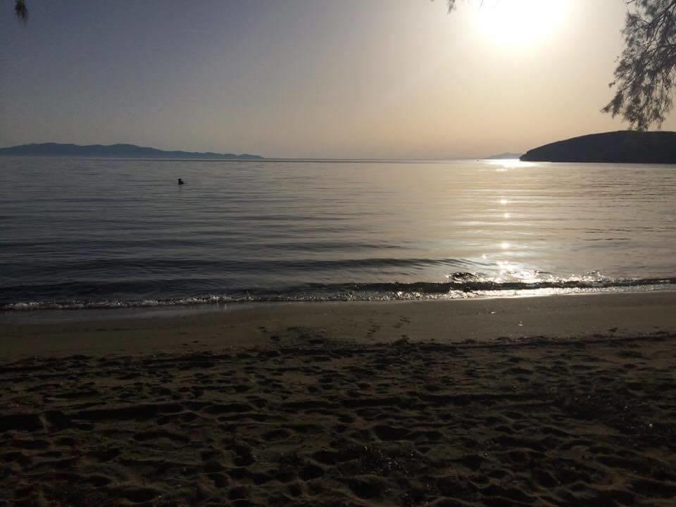 Elia Apartments Agios Romanos Eksteriør bilde