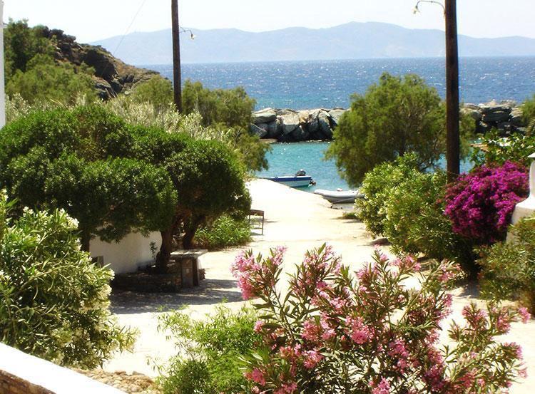 Elia Apartments Agios Romanos Eksteriør bilde