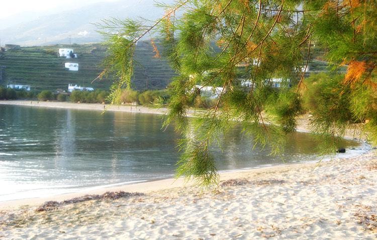 Elia Apartments Agios Romanos Eksteriør bilde
